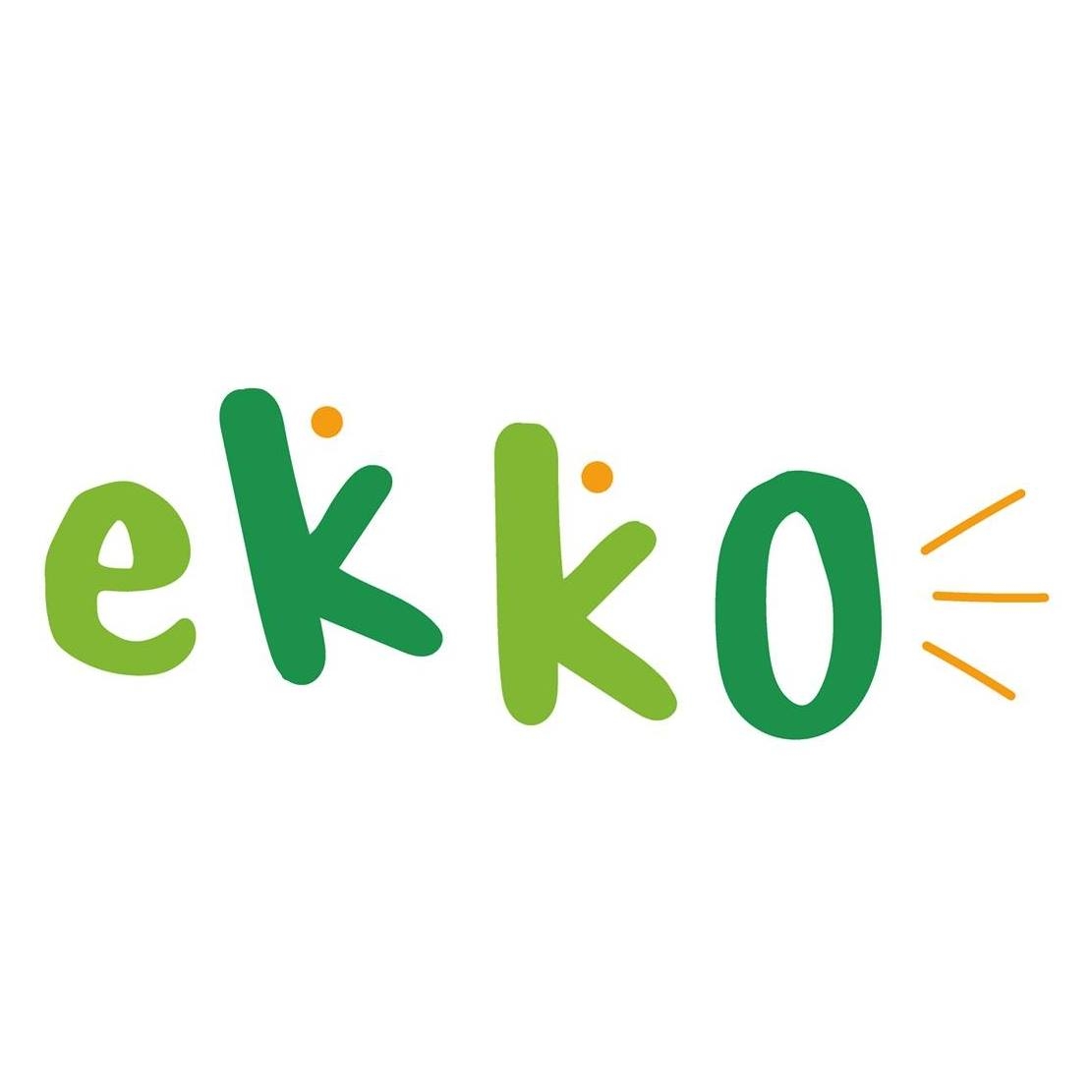 Ekko Brinquedos Educativos